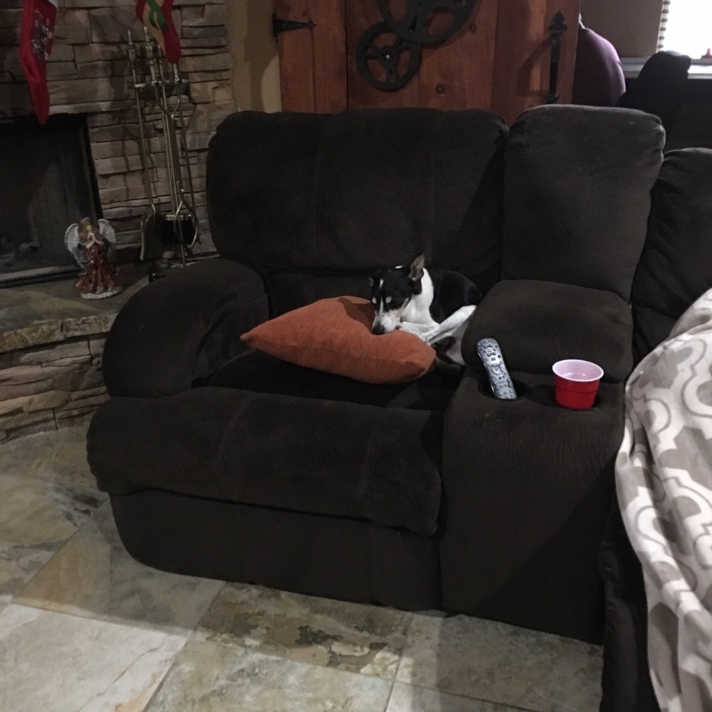 Meet your Posher, Brenda